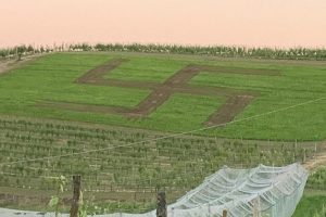 &ldquo;Agri-politica&rdquo;: la svastica sulle colline di San Damiano d&rsquo;Asti, luogo simbolo della Resistenza