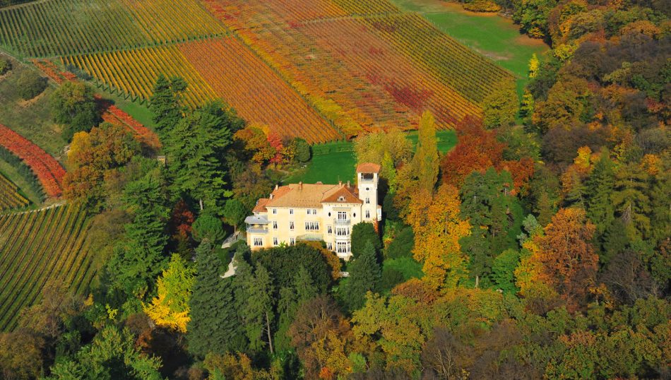La Tenuta San Leonardo, perla del vino del Trentino