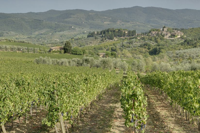 I vigneti di Cabreo di Folonari, nel territorio di Gaiole in Chianti, nel Chianti Classico