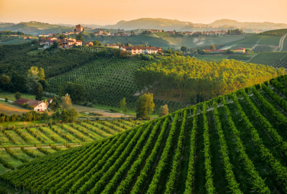 Piemonte, 131 milioni di euro in promozione attivati dall’Ocm Vino