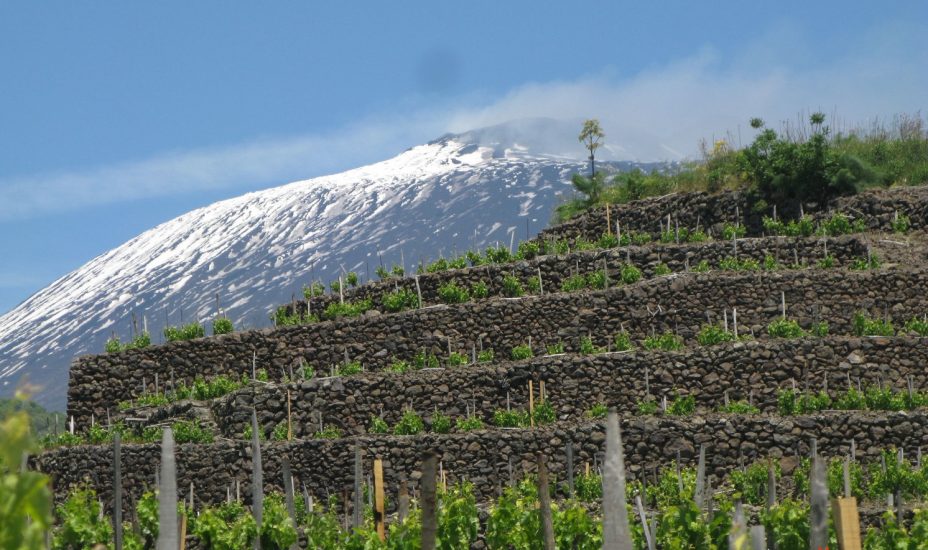 I vigneti terrazzati sull’Etna