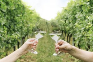 Organic wine conquers Italians, at the top bubbles, rosés and whites: according to Signorvino Organic wine conquers Italians, at the top bubbles, rosés and whites: according to Signorvino