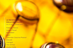 I Vini di WineNews - N. 54