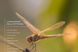 I Vini di WineNews - N. 56