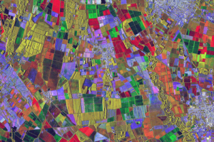 Public (Ismea) and Privat (Leonardo and A2A) sector together for agriculture 4.0 Public (Ismea) and Privat (Leonardo and A2A) sector together for agriculture 4.0