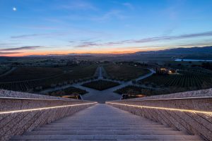 “In wine the truth”: se il cinema incontra l’architettura ed il merito è tutto del vino “In wine the truth”: se il cinema incontra l’architettura ed il merito è tutto del vino