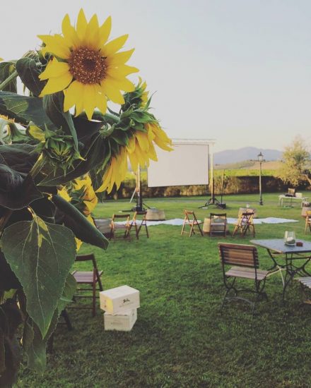 Tra festival e rassegne in cantina, tanti gli eventi in agenda all’insegna di vino, arte, cinema e gastronomia