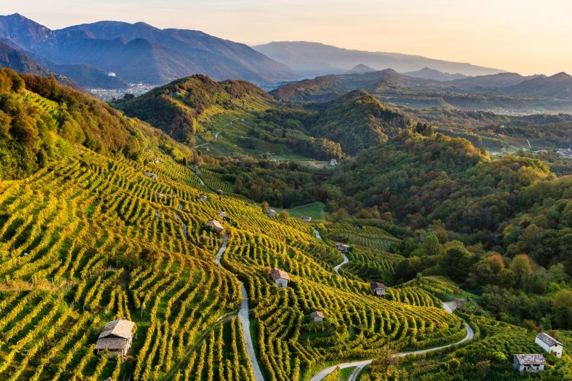 Le Colline del Prosecco di Conegliano e Valdobbiadene Patrimonio dell’Umanità