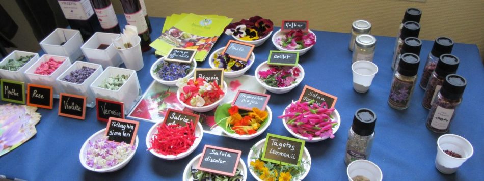 I fiori eduli al centro della ricerca dell’Università di Pisa