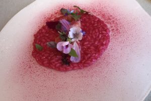 Fiori eduli, non solo vezzo culinario: dall&rsquo;Universit&agrave; di Pisa uno studio sui valori nutrizionali