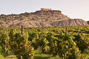 La Sicilia del vino tra moda, musica e chef stellati: ecco gli eventi del wine & food da non perdere