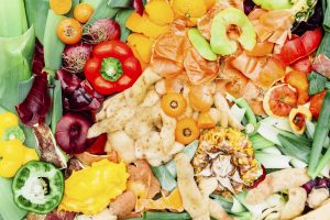 Barbera: un vitigno, mille espressioni diverse. Caratterizzate nel progetto “Barbera 2.0” Barbera: un vitigno, mille espressioni diverse. Caratterizzate nel progetto “Barbera 2.0”