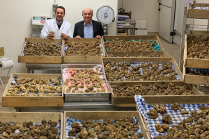 Urbani Tartufi lancia il progetto di ricerca &ldquo;green&rdquo; con l&rsquo;Universit&agrave; della Tuscia di Viterbo