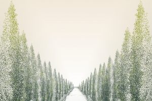 In principio fu Sassicaia, oggi Bolgheri &egrave; al top nel mondo del vino. Nel racconto dei protagonisti