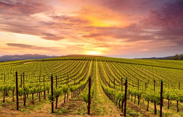 2022, SILICON VALLEY BANK, STATE OF TH US WINE INDUSTRY, USA, vino, Mondo