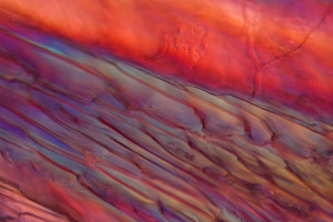 La nanotecnologia al servizio del vino: cos&igrave; l&rsquo;Australia combatte i difetti aromatici