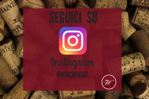 Le nuove sfide social: Winenews sbarca su Instagram, il social più “giovane”