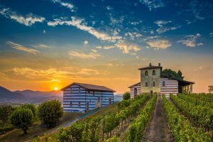 La Franciacorta quasi come la Champagne