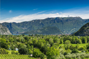 I Quaderni di WineNews - La Franciacorta
