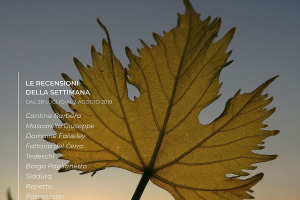 I Vini di WineNews - N. 60