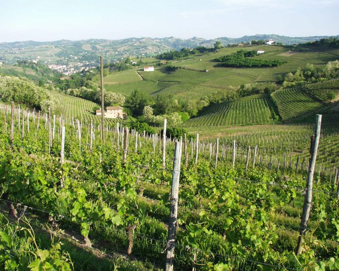 Canelli, where Italian sparkling wine and Asti were created, to become ...