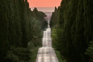 The right destination for wine investments is Bolgheri, with Masseto and Sassicaia The right destination for wine investments is Bolgheri, with Masseto and Sassicaia