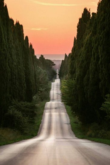 Bolgheri