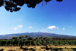 Sempre più sul vulcano