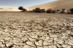 Il riscaldamento globale pregiudicherà produzione agricola e sicurezza delle forniture alimentari Il riscaldamento globale pregiudicherà produzione agricola e sicurezza delle forniture alimentari