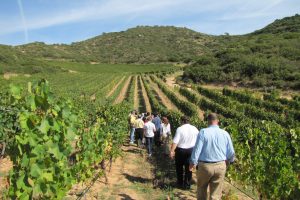 Turismo enogastronomico, Italia leader. Il 71% dei viaggiatori in cerca di esperienze del gusto Turismo enogastronomico, Italia leader. Il 71% dei viaggiatori in cerca di esperienze del gusto