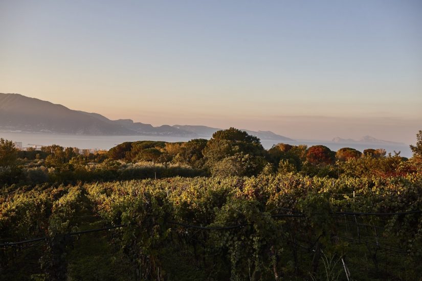 In agenda a Ferragosto al centro il Lacryma Christi da Casa Setaro, e la Festa del peperoncino da Eataly