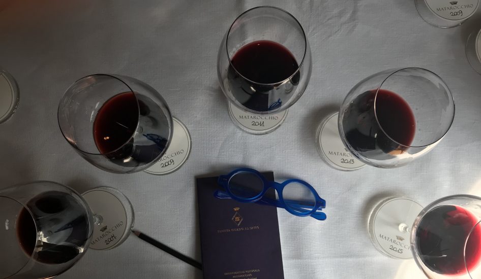 Cabernet Franc in purezza, vino icona della Tenuta Guado al Tasso di Antinori