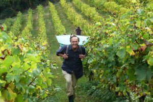 Vini biodinamici, la Francia ci crede: a Parigi (11/12 febbraio) al via il primo Salone dedicato