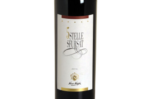 Nino Negri, Docg Sforzato di Valtellina 5 Stelle Sfursat 2015