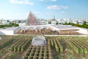 Se le città “restituiscono” la terra all’agricoltura: a Parigi l’orto urbano più grande del mondo Se le città “restituiscono” la terra all’agricoltura: a Parigi l’orto urbano più grande del mondo