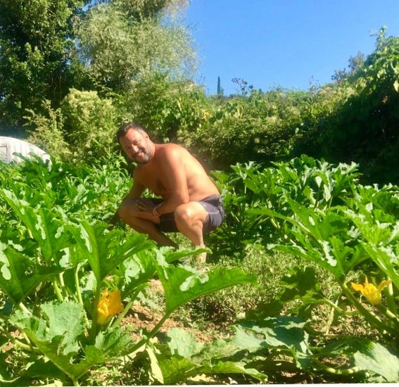 Salvini tra i fiori di Zucca