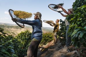 Steve McCurry torna in Italia: protagonista della nuova mostra a Forlì il cibo Steve McCurry torna in Italia: protagonista della nuova mostra a Forlì il cibo