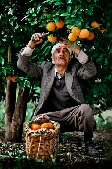 Steve McCurry