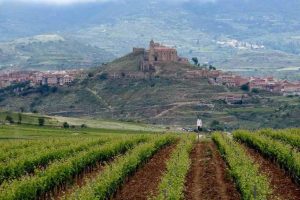 Spagna: gli aiuti pubblici valgono 210 milioni di euro l&rsquo;anno, nessun rischio post Pac 2020