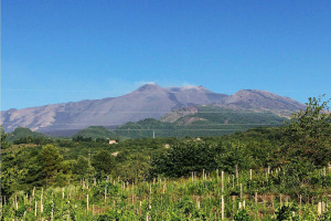 I Quaderni di WineNews - L'Etna