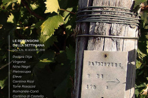 I Vini di WineNews - N. 61