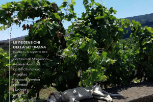 I Vini di WineNews - N. 64