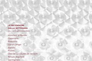 I Vini di WineNews - N. 65