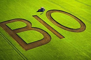 Ismea: il giro d&rsquo;affari del biologico, in Italia, tocca i 5,8 miliardi di euro, +264% in dieci anni