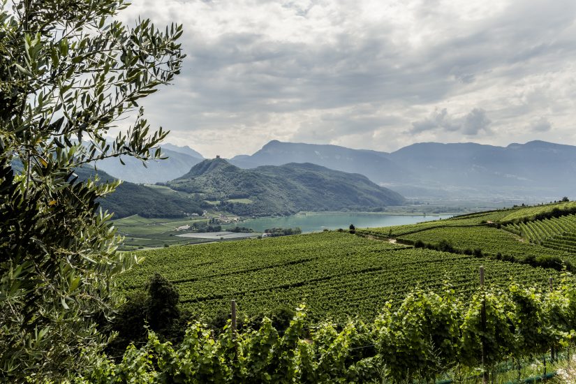 L’Alto Adige, i suoi vigneti ed il lago di Caldaro ph Florian Andergassen 