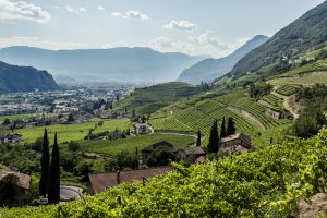 Il passato ed il futuro dell’Alto Adige, territorio del vino “condannato all’eccellenza”
