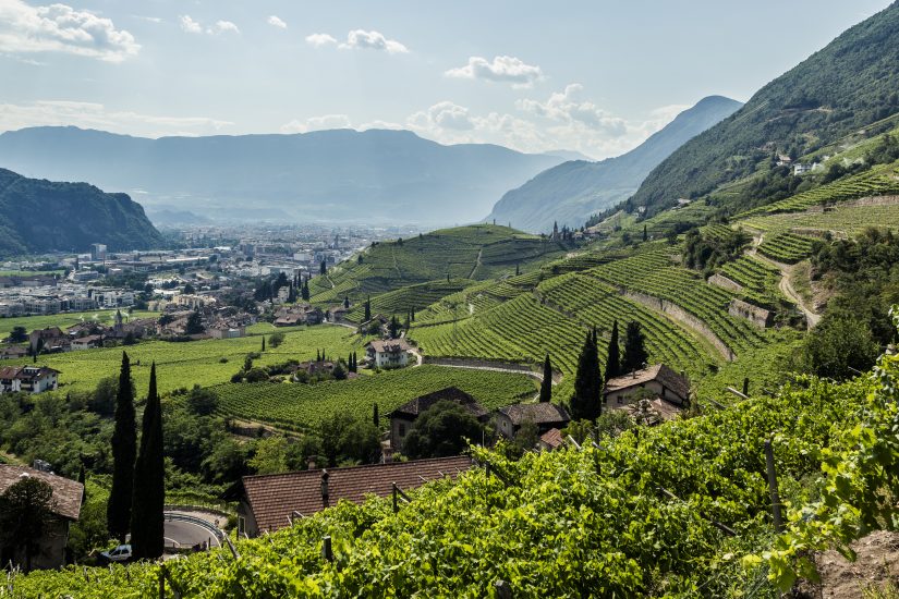 L’Alto Adige, i suoi vigneti e la cantina  St. Magdalener ph Florian Andergassen s