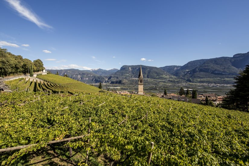 L’Alto Adige, i suoi vigneti e la cantina Tramin ph Florian Andergassen 