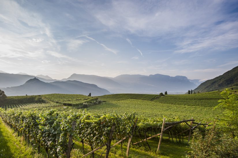 L’Alto Adige ed i suoi vigneti ph Florian Andergassen 