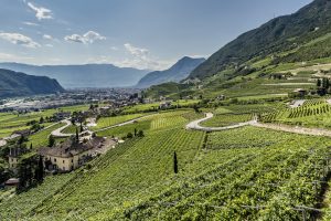 L’estrema varietà del territorio nella qualità del vino: la prossima sfida decennale dell’Alto Adige